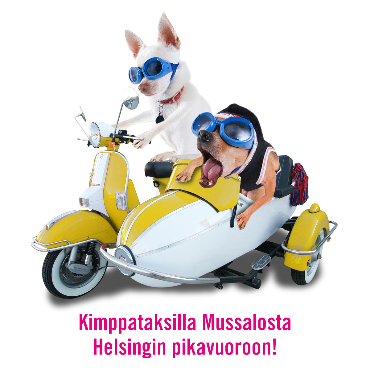 Kimppataksi Kimppataksi
