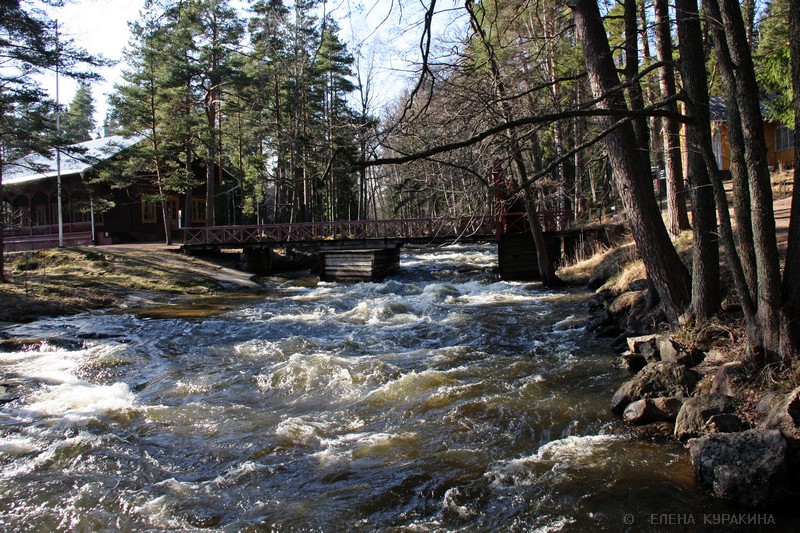 Langinkoski Kurakina Langinkoski Kurakina