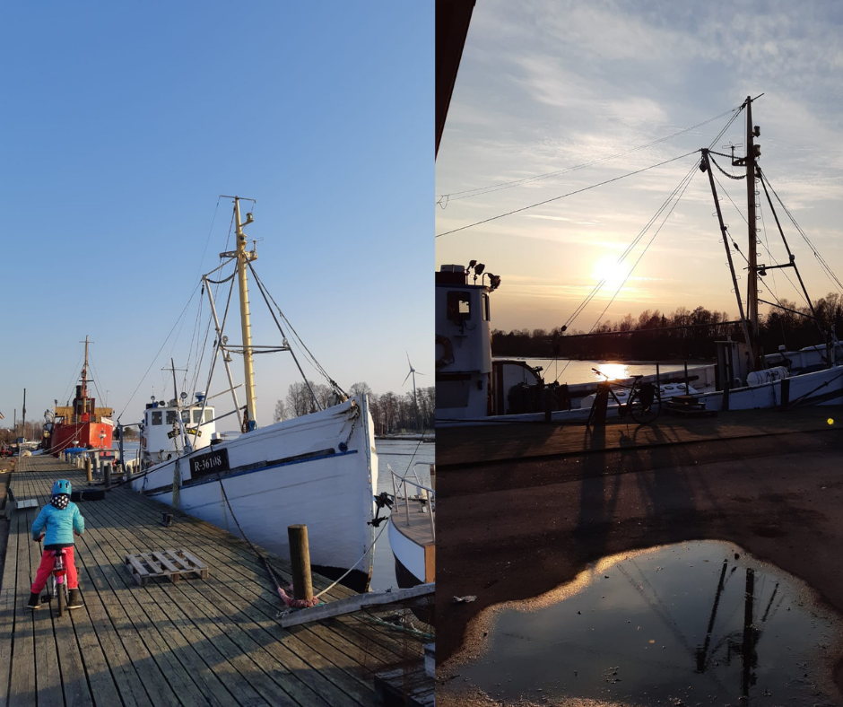 Haminan Tervasaari Haminan Tervasaari