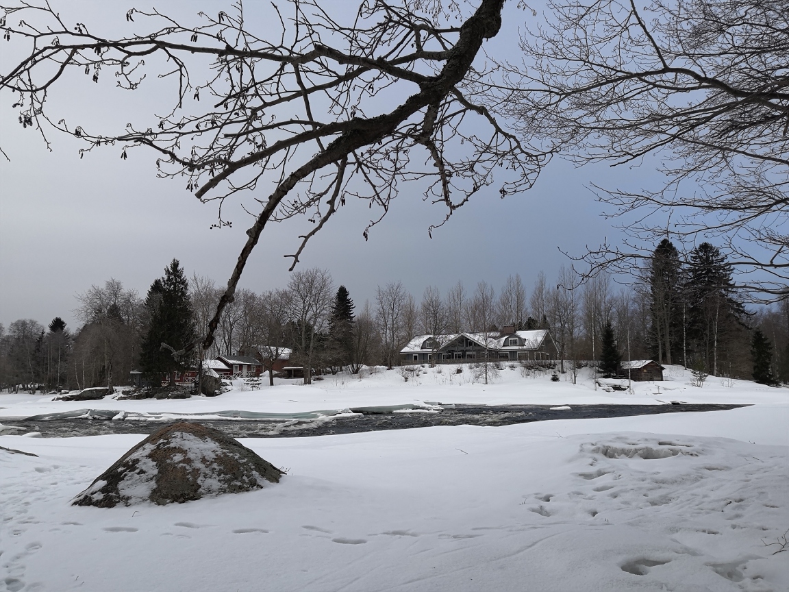 Koskenäyräs, Kymijoki, Kotka Koskenäyräs, Kymijoki, Kotka