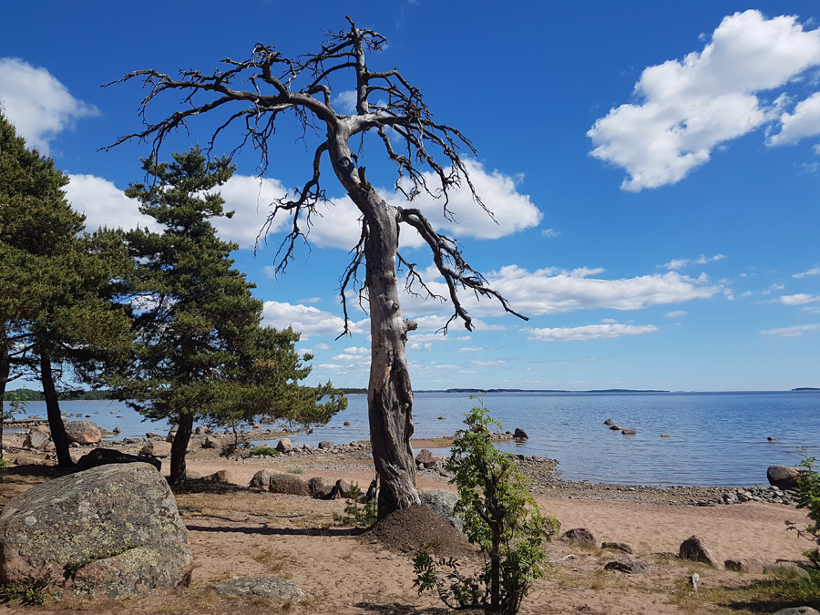Äijänniemen uimaranta, Kotka Äijänniemen uimaranta, Kotka