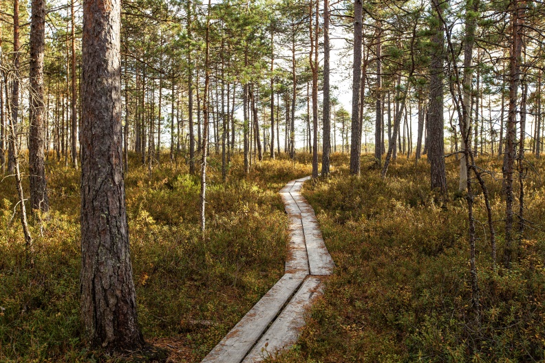 Valkmusan kansallispuisto Valkmusan kansallispuisto