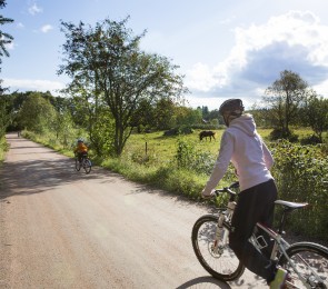 Kymijoen koskikierros, kuva: Tuuli Koivisto Kymijoen koskikierros -pyöräilyreitti