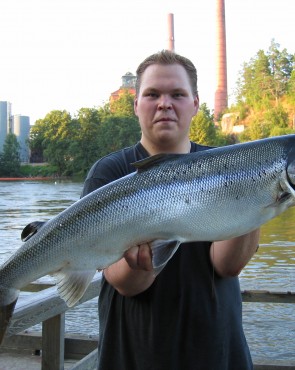 Korkeakosken kalastuslaituri Korkeakosken kalastuslaituri